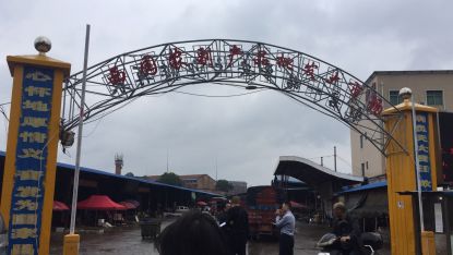 衡陽市西園農(nóng)副產(chǎn)品批發(fā)大市場債權(quán)問題分析 農(nóng)副產(chǎn)品流通環(huán)節(jié)的金融風險與應對策略