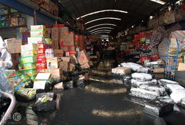 上海一淤泥處理場圍墻倒塌致農(nóng)副產(chǎn)品市場被淹，應急處置工作展開