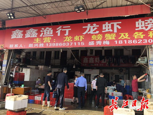 武漢撮蝦子 白沙洲農副產品大市場，日批龍蝦百噸的江城盛宴