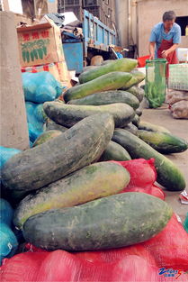 橫山橋農(nóng)副產(chǎn)品批發(fā)市場 新鮮平價(jià)，市民的菜籃子好去處